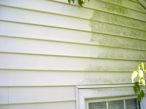 Vinyl-Siding-Cleaning-300x225.png